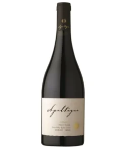 2018 APALTAGUA VALLE DEL CURICO PINOT NOIR RESERVE - Lucky Seven Spirits