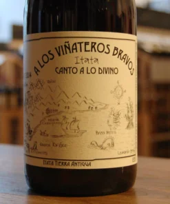 2020 A LOS VINATEROS BRAVOS CANTO A LO DIVINO CINSAULT - Lucky Seven Spirits